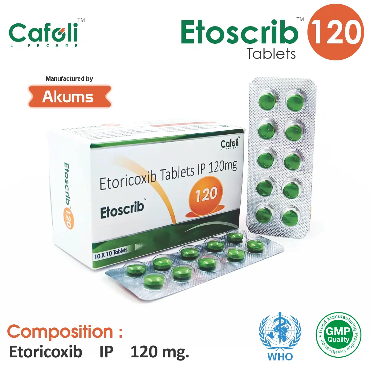 Etoricoxib at the best price in PCD Pharma Franchise for Pain Relief